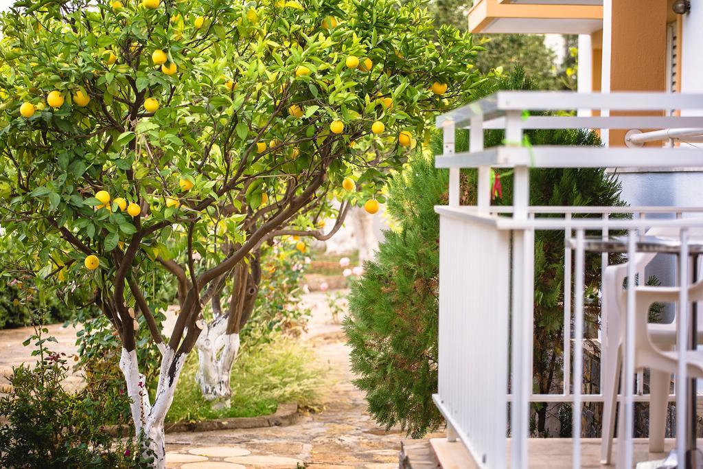 Primavera Paradise Apartments Agios Nikolaos Exterior foto